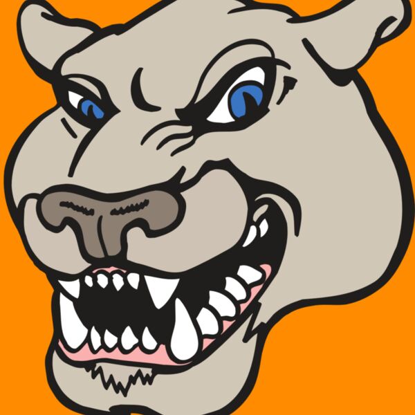 AR5 COUGAR 10 RQC Thumbnail