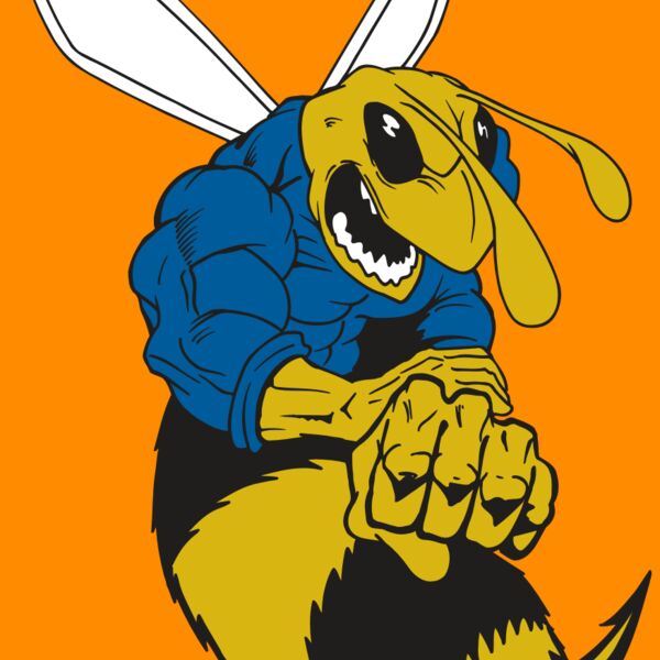 AR5 BEE 29 RQC Thumbnail