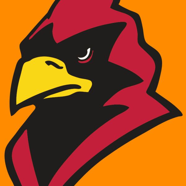 AR CARDINAL 22 RC Thumbnail