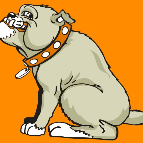 AR BDOG 26 RC Thumbnail