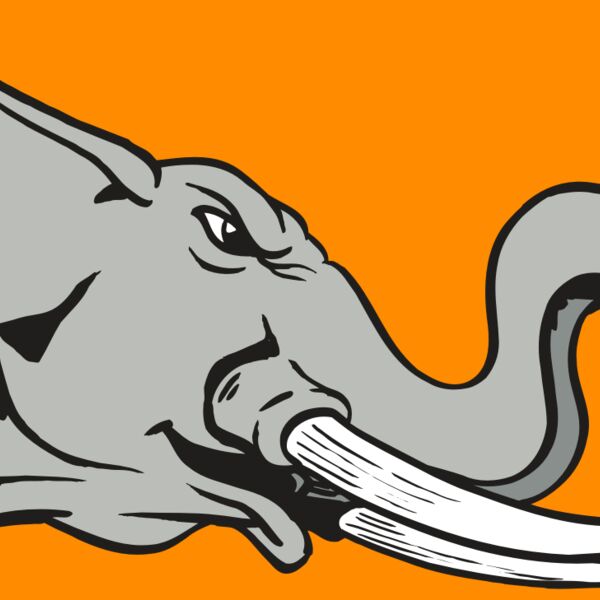 AR ELEPH 16 RC Thumbnail