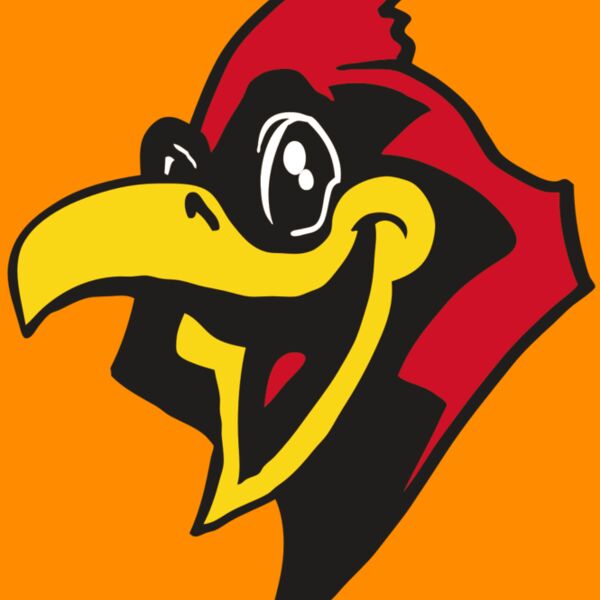 AR CARDINAL 36 RC Thumbnail