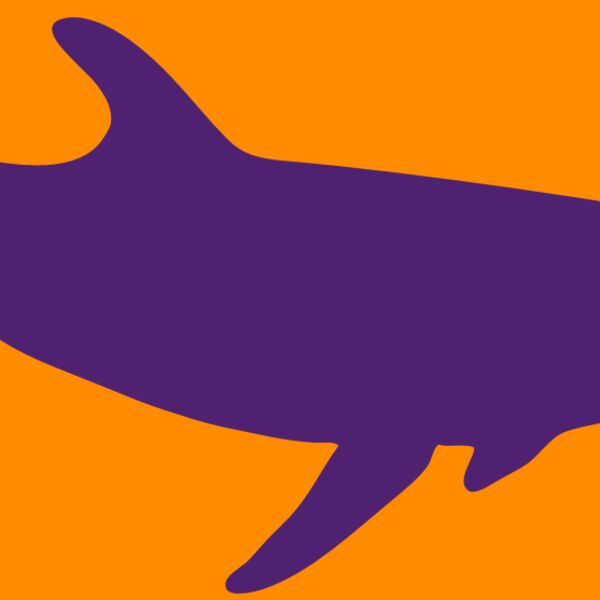 AR DOLPIN 12 RC Thumbnail