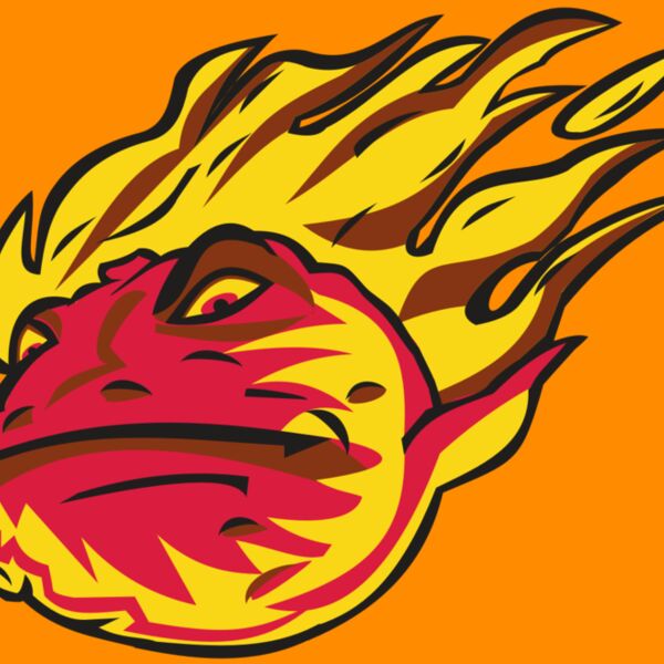 COMET HD0501 RQC Thumbnail