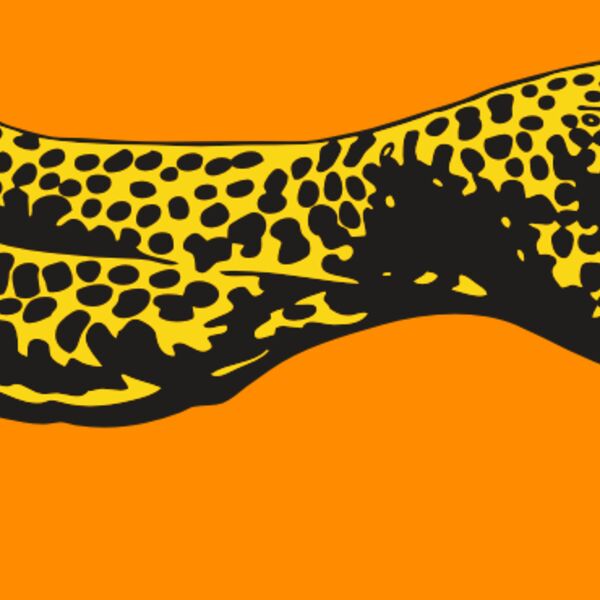 AR CHEETAH 12 RC Thumbnail