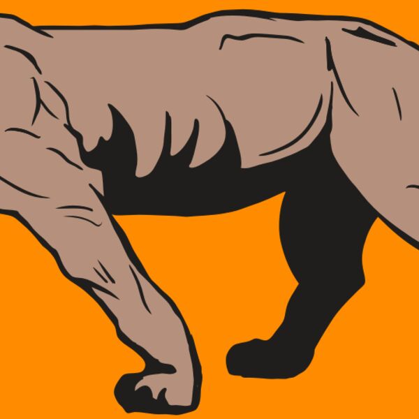 AR10 PANTHER 04 RQC Thumbnail