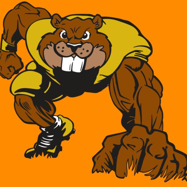 AR14 BEAVER FBLL 03 RQC Thumbnail