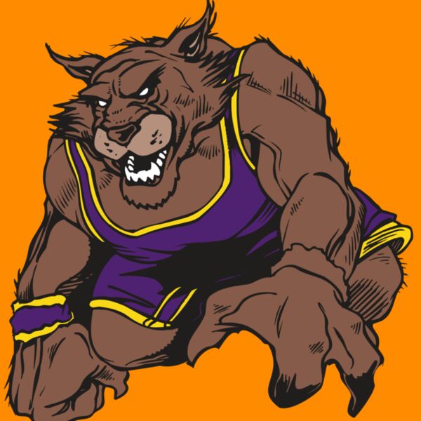 AR WILDCAT 23 RC Thumbnail