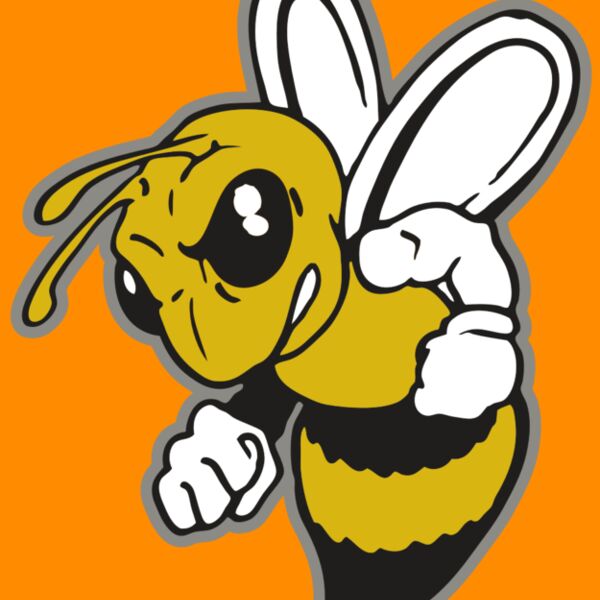 AR BEE 60 RC Thumbnail