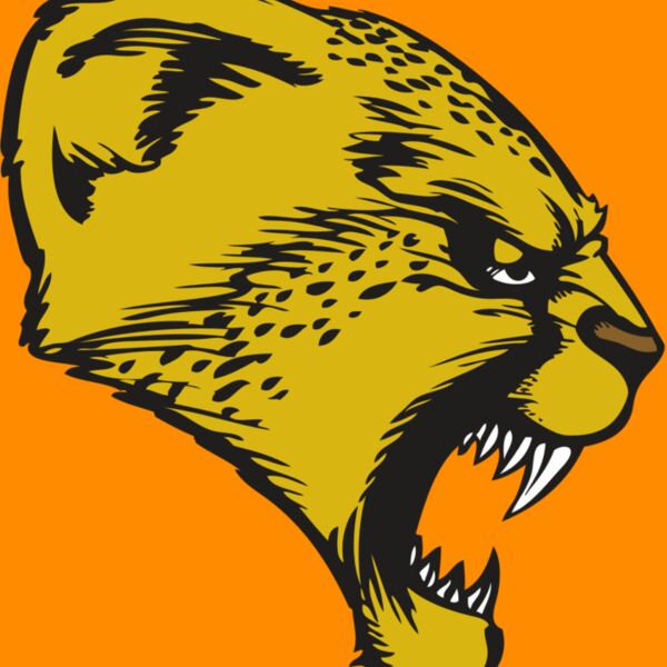 BAW CHEETAH 13 RC Thumbnail