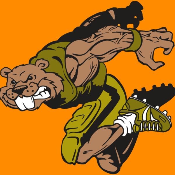 AR14 BEAVER FBLL 02 RQC Thumbnail