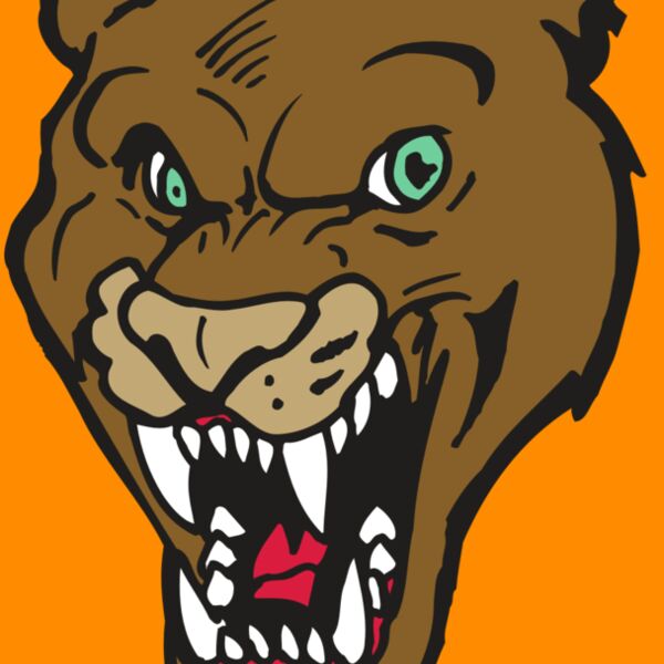 AR5 COUGAR 16 RQC Thumbnail