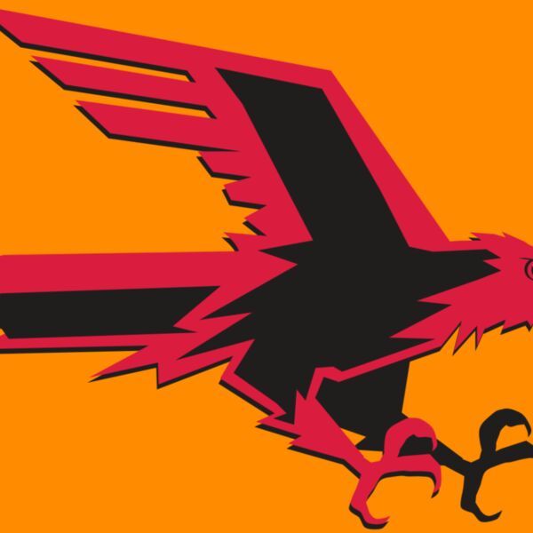 AR9 FALCON 02 RQC Thumbnail