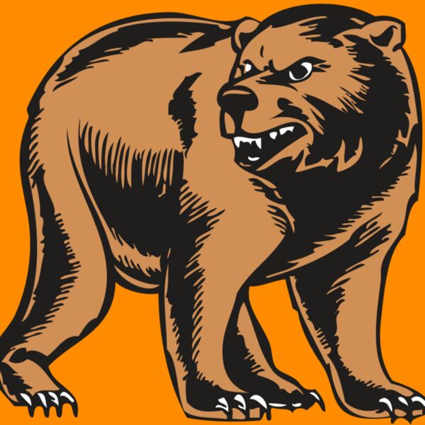 BAW BEAR 09 RC Thumbnail