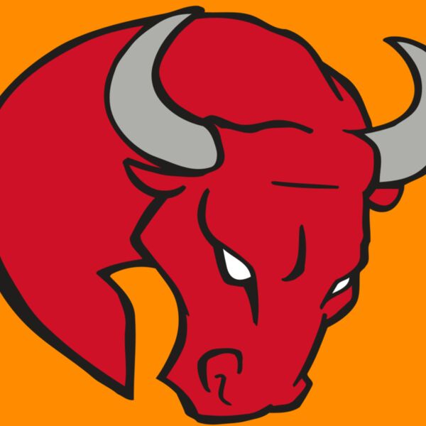 AR BULL 24 RC Thumbnail