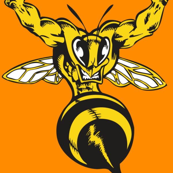 BAW BEE 04 RC Thumbnail