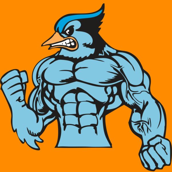 BAW BLUEJAY 16 RC Thumbnail