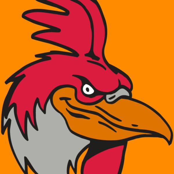 AR5 Gamecock 05 RQC Thumbnail