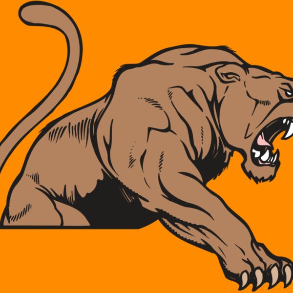 AR COUGAR 55 RC Thumbnail