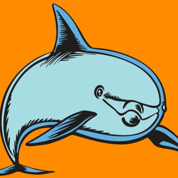 BAW DOLPHIN 04 RC Thumbnail