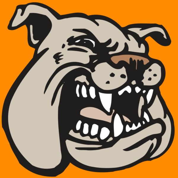 AR BDOG 38 RC Thumbnail