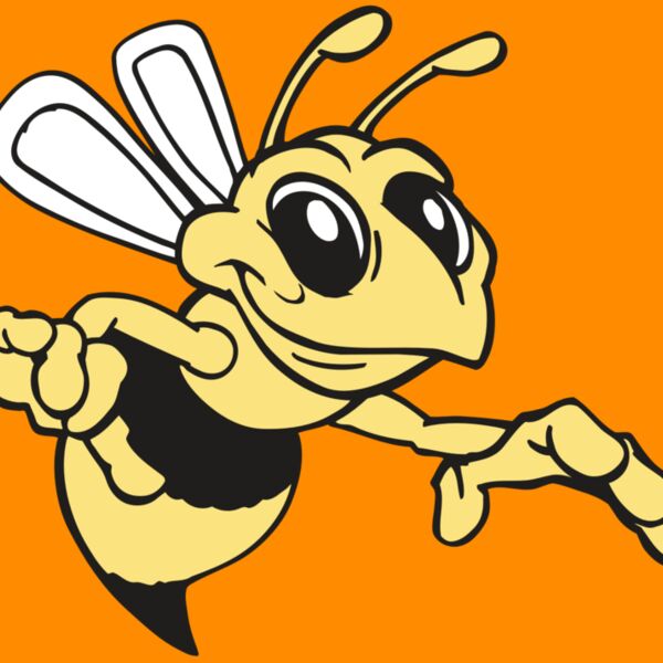 AR BEE 35 RC Thumbnail