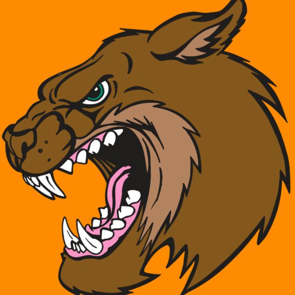 AR5 BOBCAT 18 RQC Thumbnail