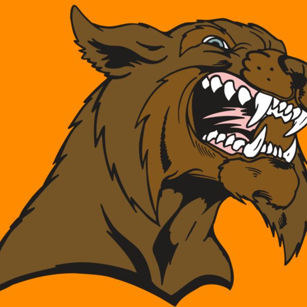 AR5 BOBCAT 21 RQC Thumbnail