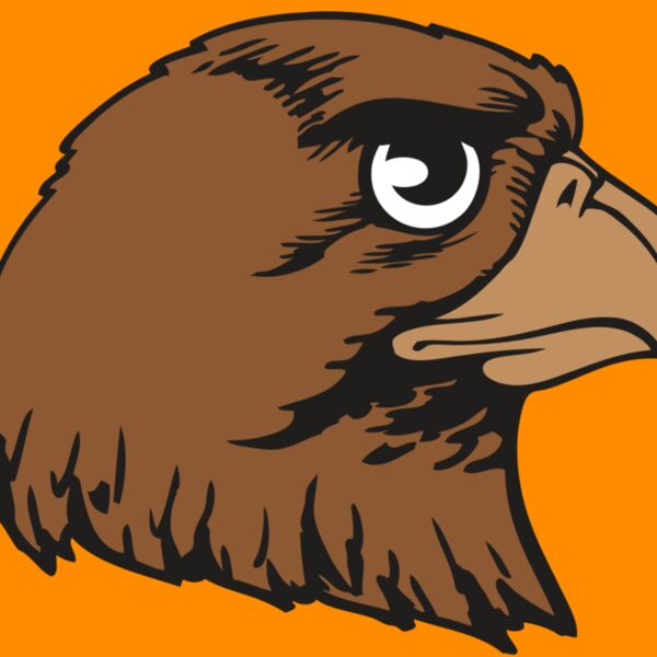 BAW HWK FLCN 05 RC Thumbnail