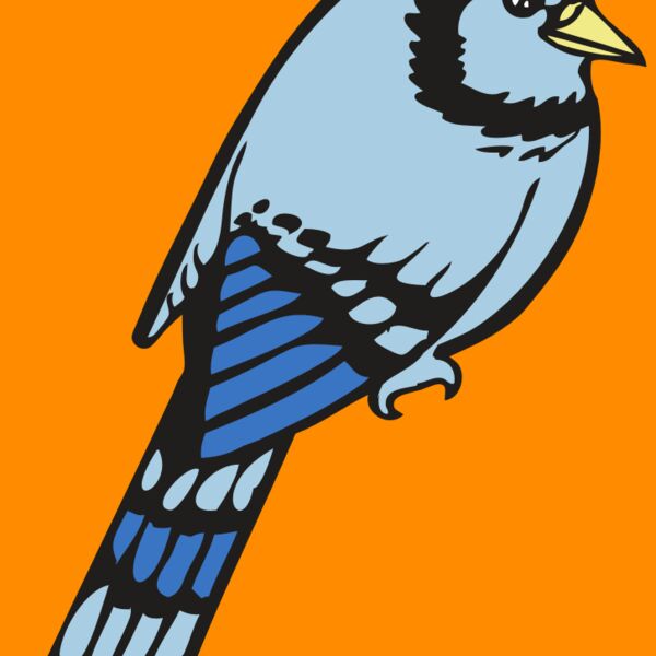 BAW BLUEJAY 08 RC Thumbnail