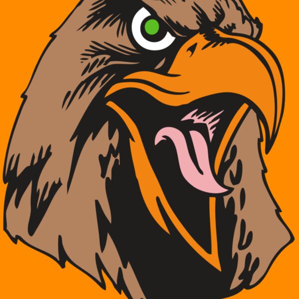 BAW HWK FLCN 01 RC Thumbnail