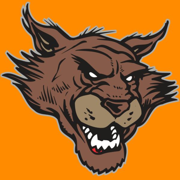 AR WILDCAT 11 RC Thumbnail