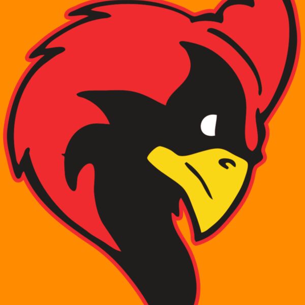 AR CARDINAL 24 RC Thumbnail