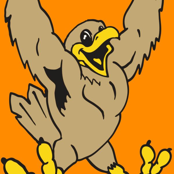 AR EAGLE 21 RC Thumbnail