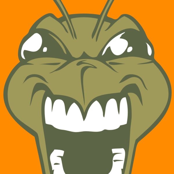 BAW BEE 13 RC Thumbnail