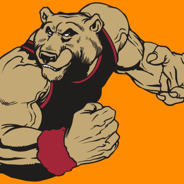 AR BEAR 40 RC Thumbnail