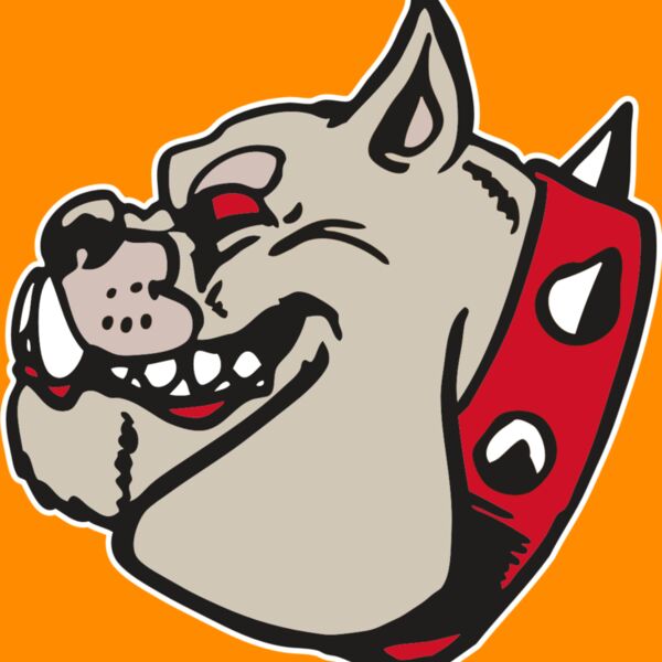 AR BDOG 47 RC Thumbnail