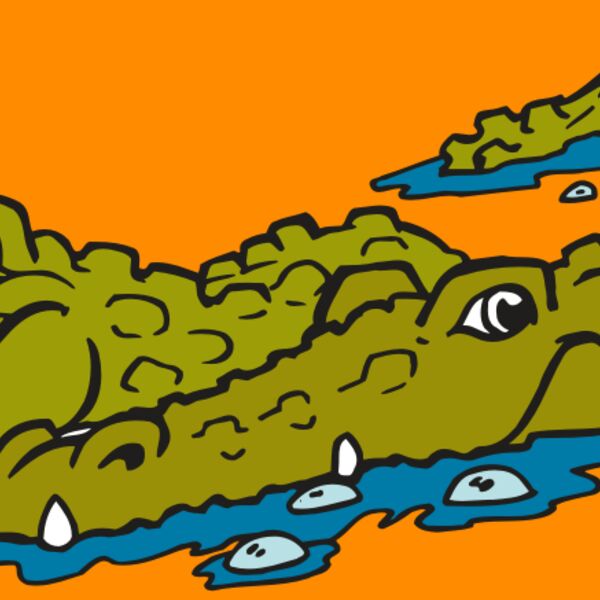 AR GATOR 37 RQC Thumbnail