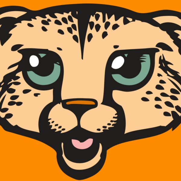 BAW CHEETAH 18 RC Thumbnail