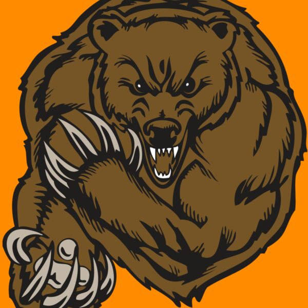 BAW BEAR 07 RC Thumbnail