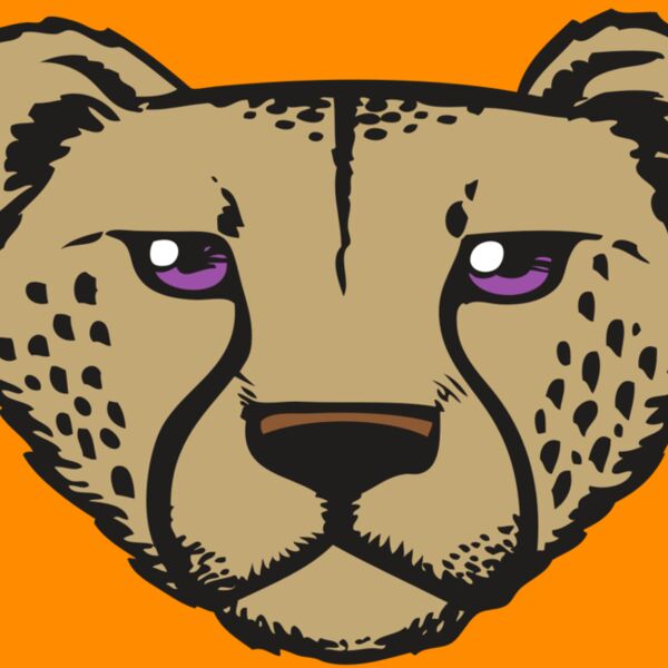 BAW CHEETAH 14 RC Thumbnail