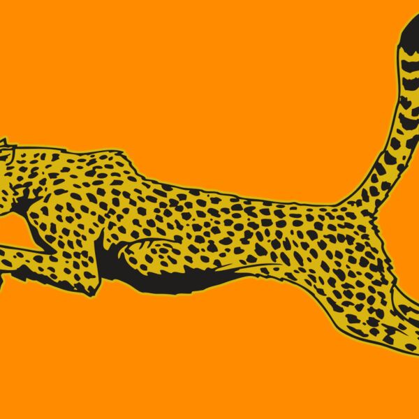 AR CHEETAH 10 RC Thumbnail