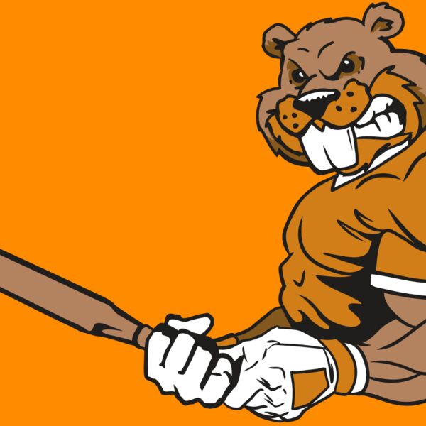 AR4 BEAVER 05 RQC Thumbnail