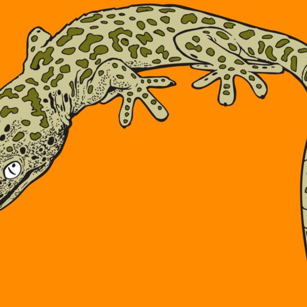 AR GEKO 19 RC Thumbnail