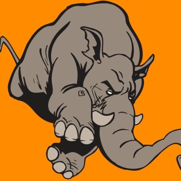 AR5 Elephant 17 RQC Thumbnail