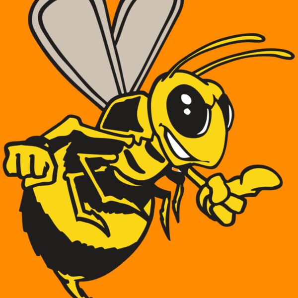 AR BEE 20 RC Thumbnail