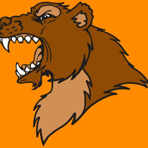 AR BEAR 22 RC Thumbnail