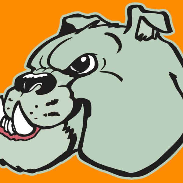 AR BDOG 29 RC Thumbnail