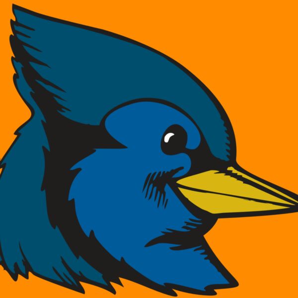 BAW BLUEJAY 07 RC Thumbnail