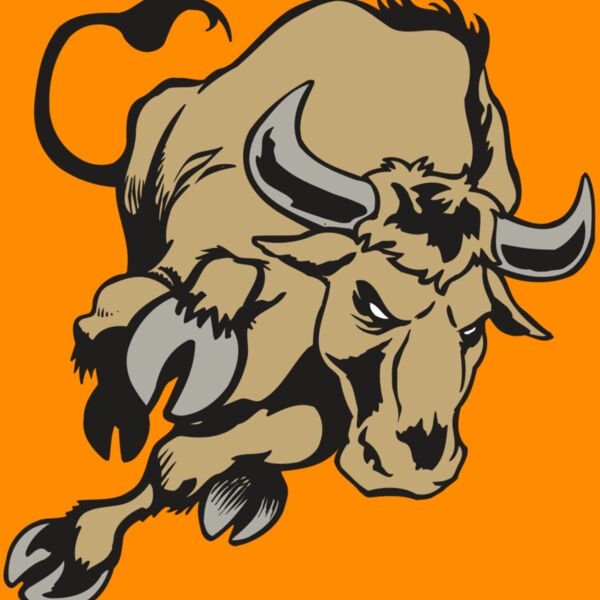 AR BULL 51 RC Thumbnail